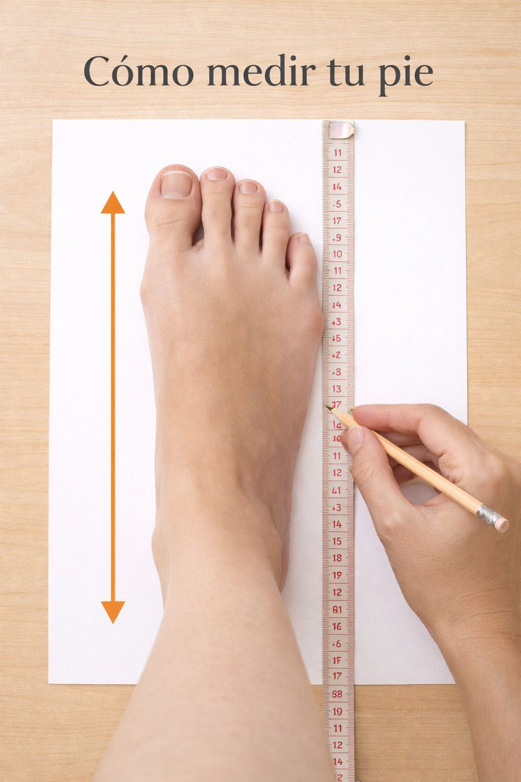 Espadriles  Verano Cartagena